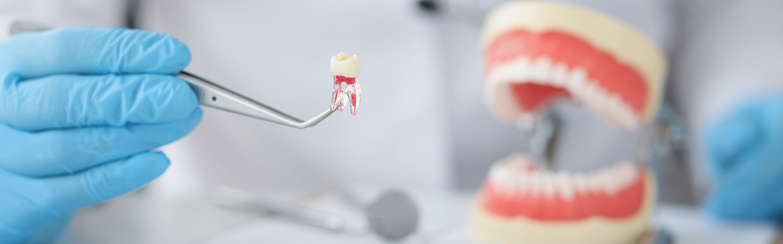 Zahnarztpraxis Winkler Karriere und Jobs